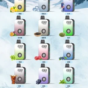 🔋ICE 拋棄式10000口🔋